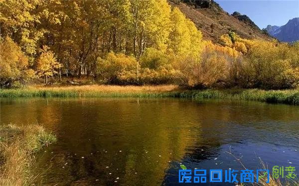 50句名人语录，经典!