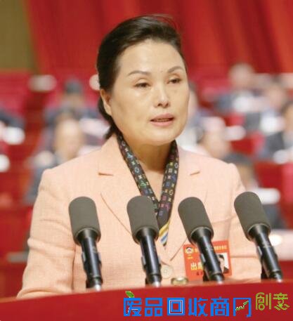 建言献策“十三五” 助力“三个陕西”建设