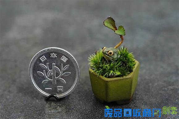  三厘米的超迷你盆景