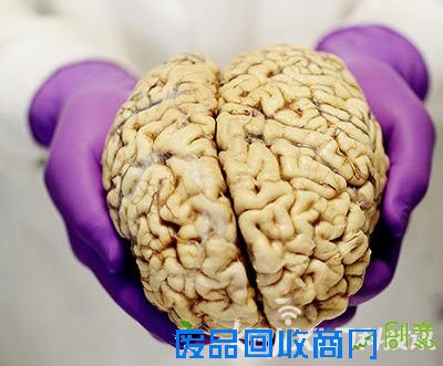 荷兰科学家成功将人类大脑里指定记忆删除