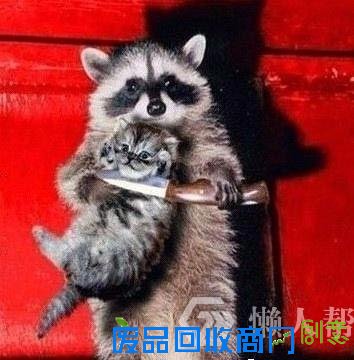 趣味测试：看你神经病指数有多高