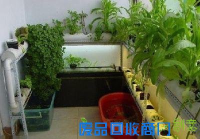 家居创意diy:利用水管手工制作阳台种蔬菜花盆