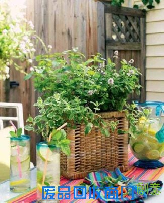 家居饰品DIY 桌上盆栽小花园