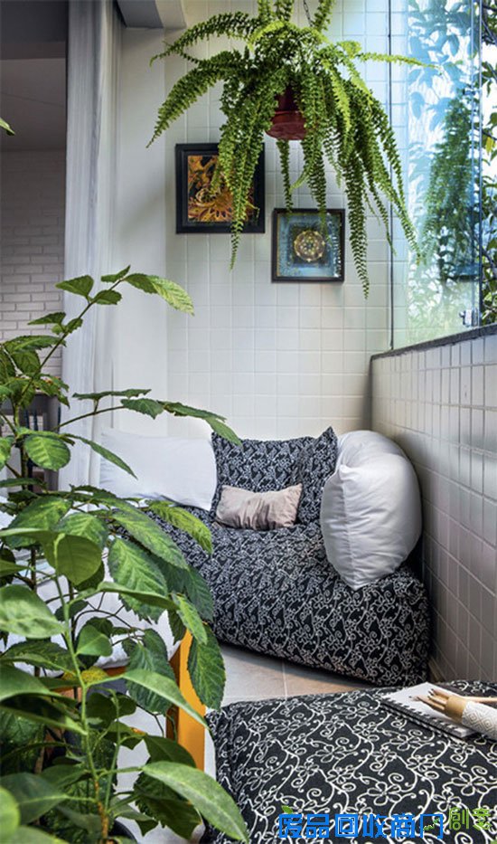 让你的家四季如春！绿植饰家小贴士