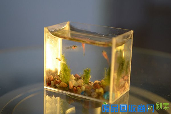 袖珍水族馆