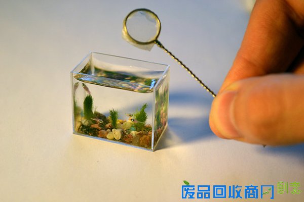 袖珍水族馆（二）