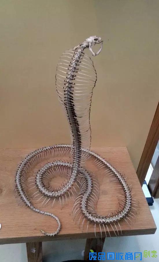 我前男友每当这个时候都会把外套脱下给我