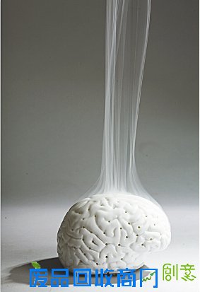 到美术馆撒欢儿玩