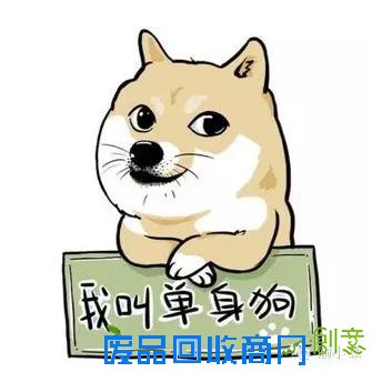 趣味测试：你是什么狗（小编亲测准到哭）