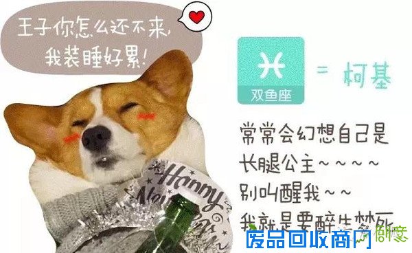 趣味测试：你是什么狗（小编亲测准到哭）