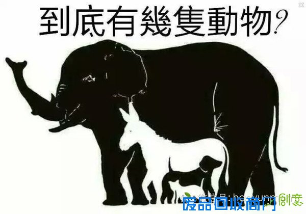 【趣味测试】到底有几只动物呢?
