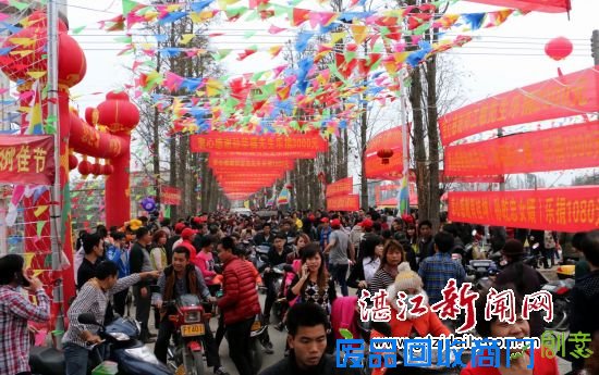 11-人山人海IMG_3790 吴川霞球村举办状元文化书画泥塑展庆赏元宵