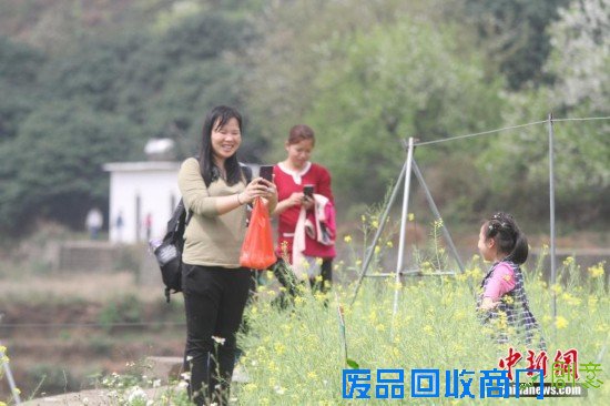 游客岳飞观前打“秦桧”