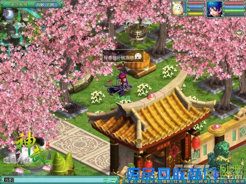 樱花开放的时节