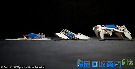 一旦电源开始供电，微控制器就会经过一系列操作对铜质折印进行加热，然后四足便折叠形成