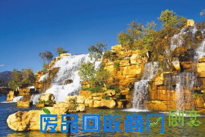 40个家庭还可DIY多肉植物带回家