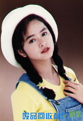 张柏芝贾静刘晓庆 因劈腿传闻导致家庭破裂的女星