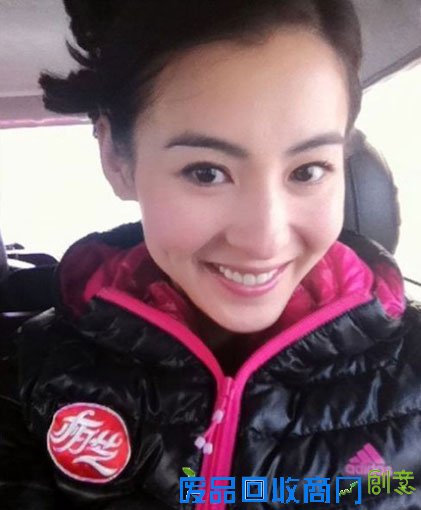 张柏芝贾静刘晓庆 因劈腿传闻导致家庭破裂的女星