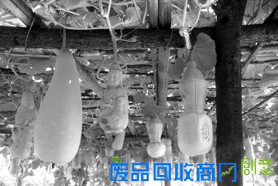 河南面塑大师醉心“葫芦娃” 承载河洛元素