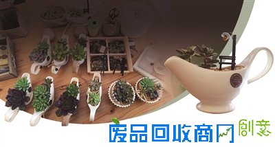 春季,怎样养护多肉植物?