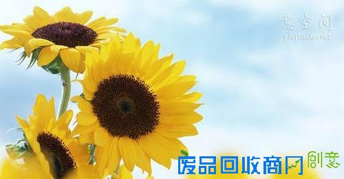 经典语录:不必去改变他人,只需做好自己