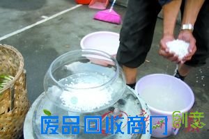 DIY水仙盆景吉祥水仙花(组图)