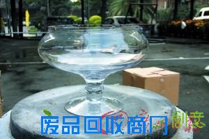 DIY水仙盆景吉祥水仙花(组图)