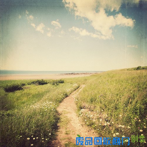 唯美摄影伤感风景lomo静物意境图片