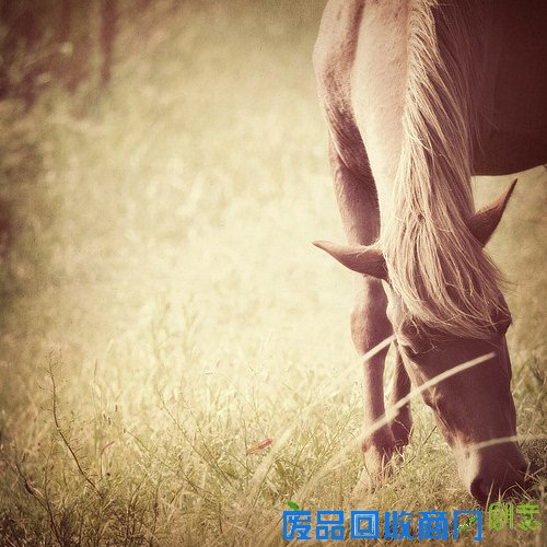 唯美摄影伤感风景lomo静物意境图片