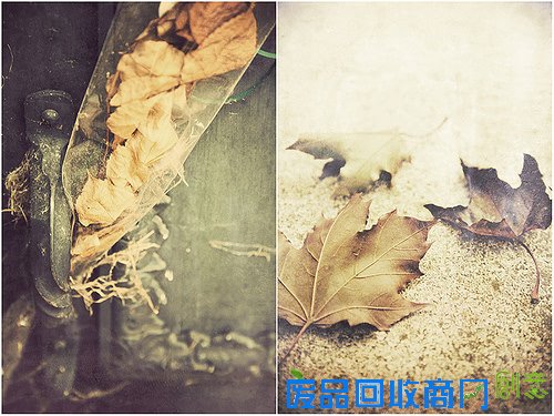 唯美摄影伤感风景lomo静物意境图片