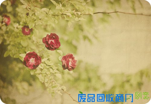 唯美摄影伤感风景lomo静物意境图片