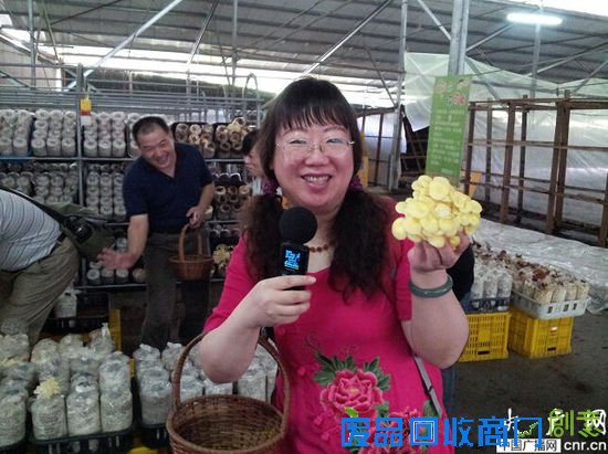 台中新社推观光休闲产业 抢陆客自由行“先机”