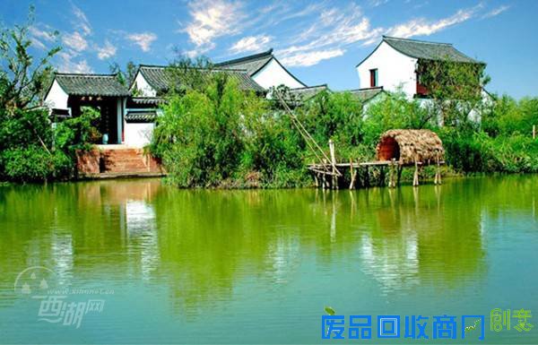 2015西溪新春探梅节即将热闹开锣喽!