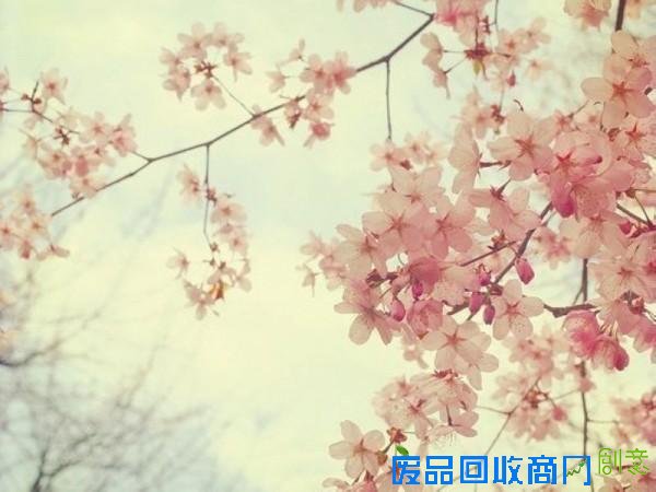 婚礼策划，花开花落，岁月如歌！