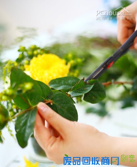 自由自在懒人插花 自由自在懒人插花