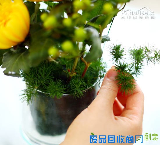 自由自在懒人插花 自由自在懒人插花