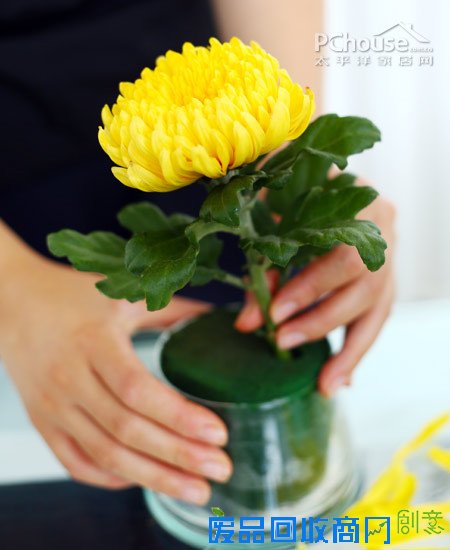 自由自在懒人插花 自由自在懒人插花