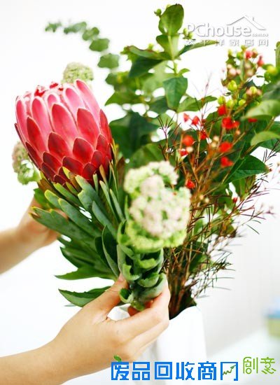 自由自在懒人插花 自由自在懒人插花