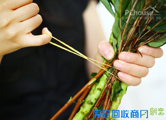 自由自在懒人插花 自由自在懒人插花