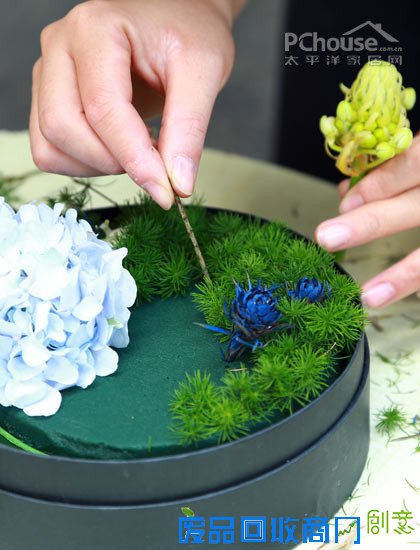 自由自在懒人插花 自由自在懒人插花