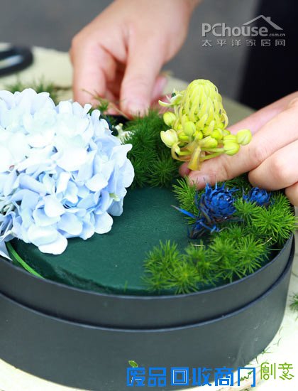 自由自在懒人插花 自由自在懒人插花