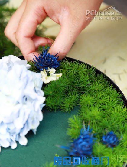 自由自在懒人插花 自由自在懒人插花