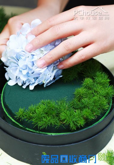 自由自在懒人插花 自由自在懒人插花