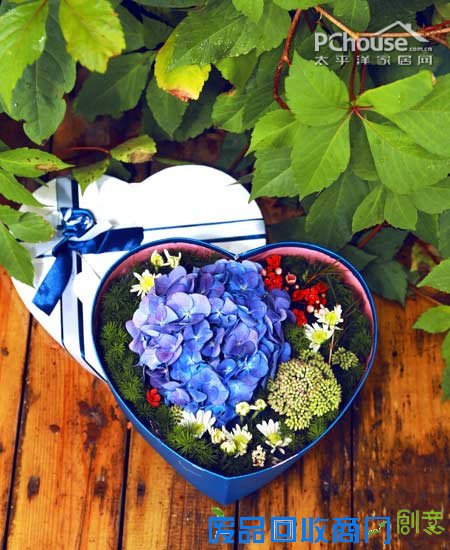 自由自在懒人插花