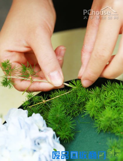 自由自在懒人插花 自由自在懒人插花