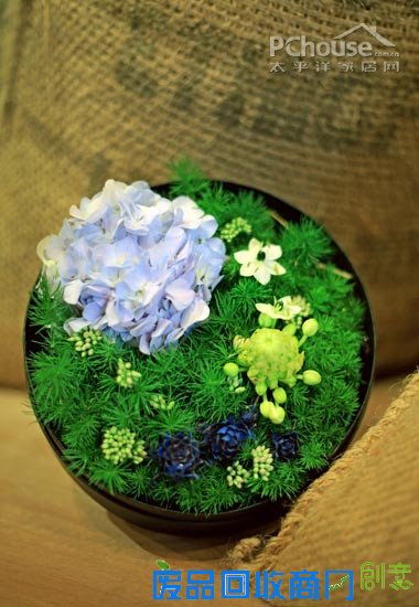 自由自在懒人插花 自由自在懒人插花