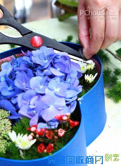 自由自在懒人插花