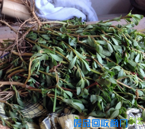 生活美学家丨经典中国菜！连外国人都爱吃的不得了~