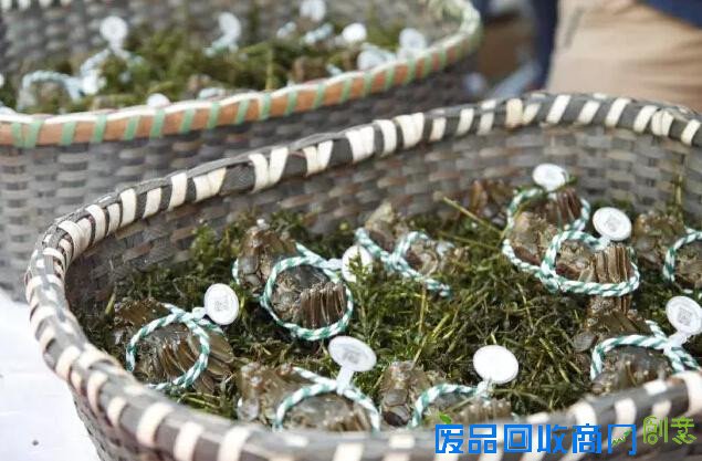 百瑞景“集装箱美食节”花样吃美食(组图)