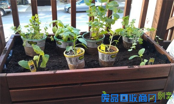 百元宜家小物让你的家一秒变花园